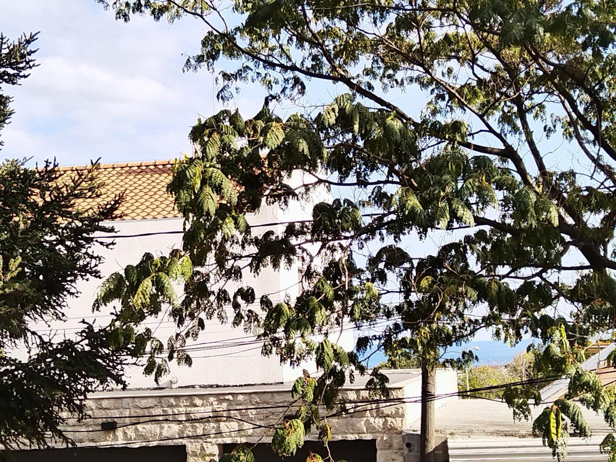 Guest House Yanita Varna ห้อง รูปภาพ